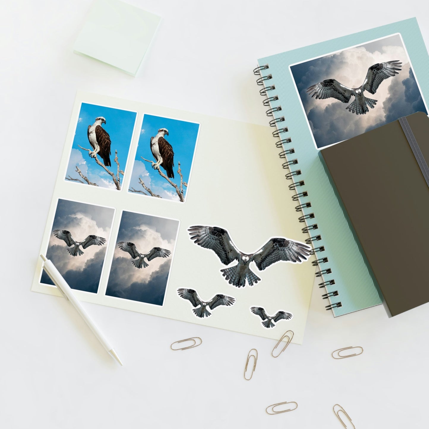 Osprey Sticker Sheet