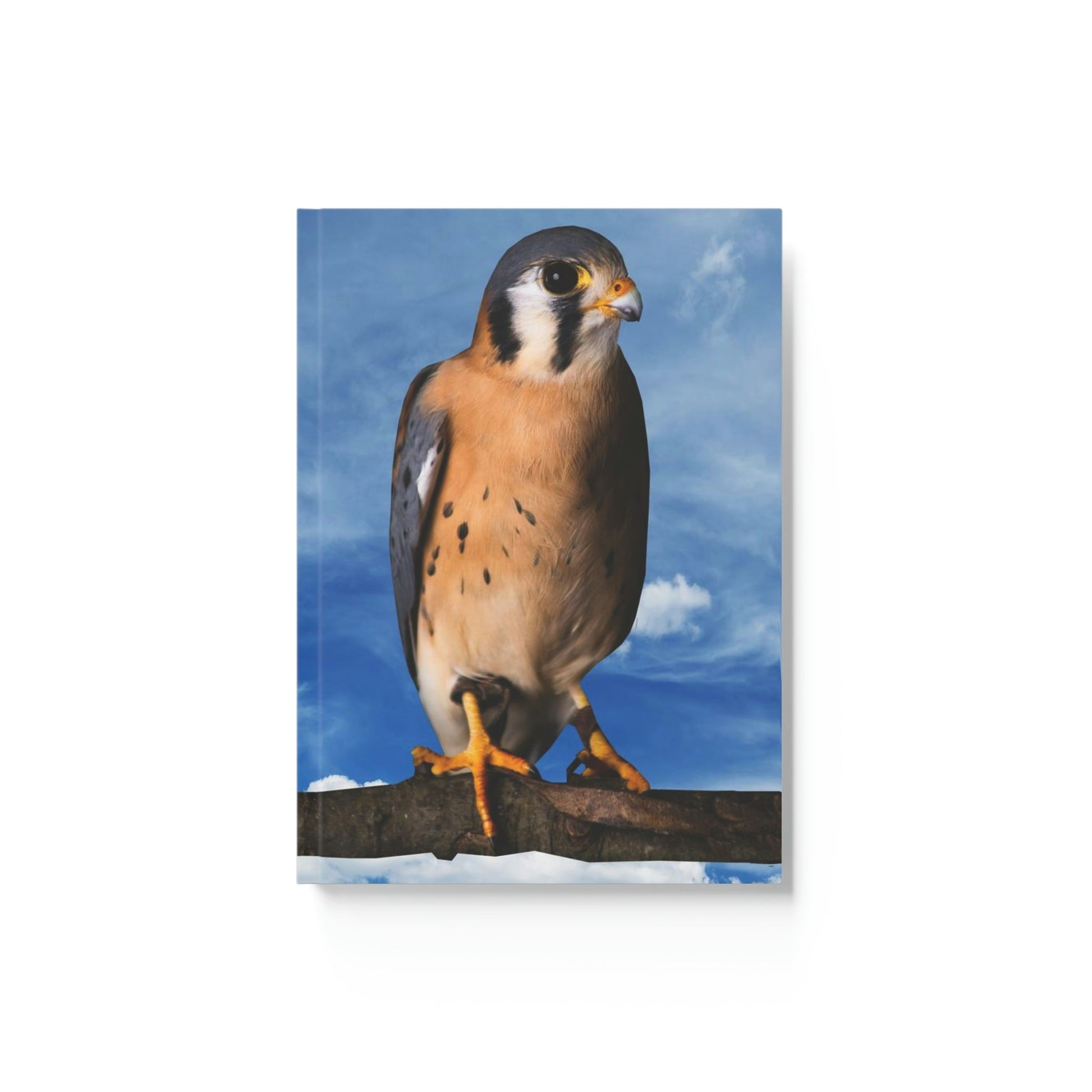Peregrine Falcon Hard Backed Journal
