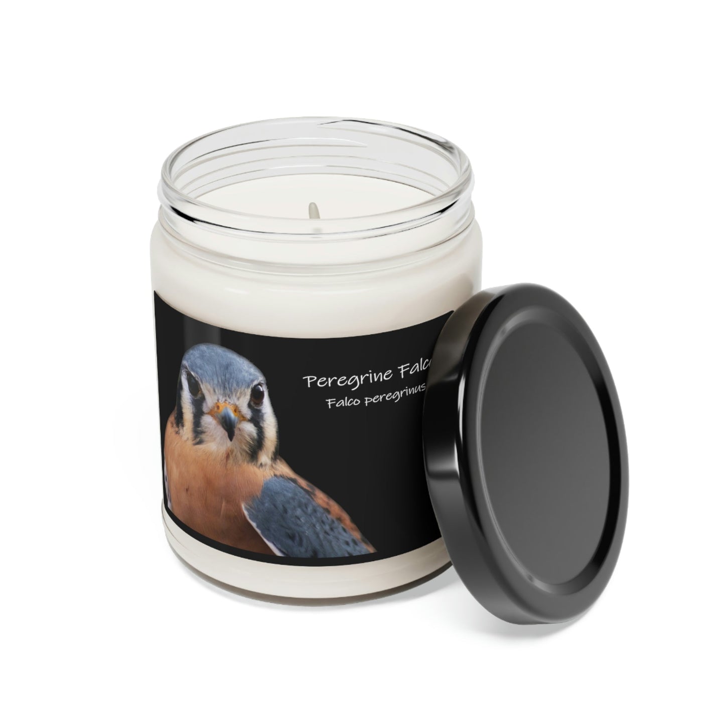 Peregrine Falcon Scented Soy Candle - 9oz