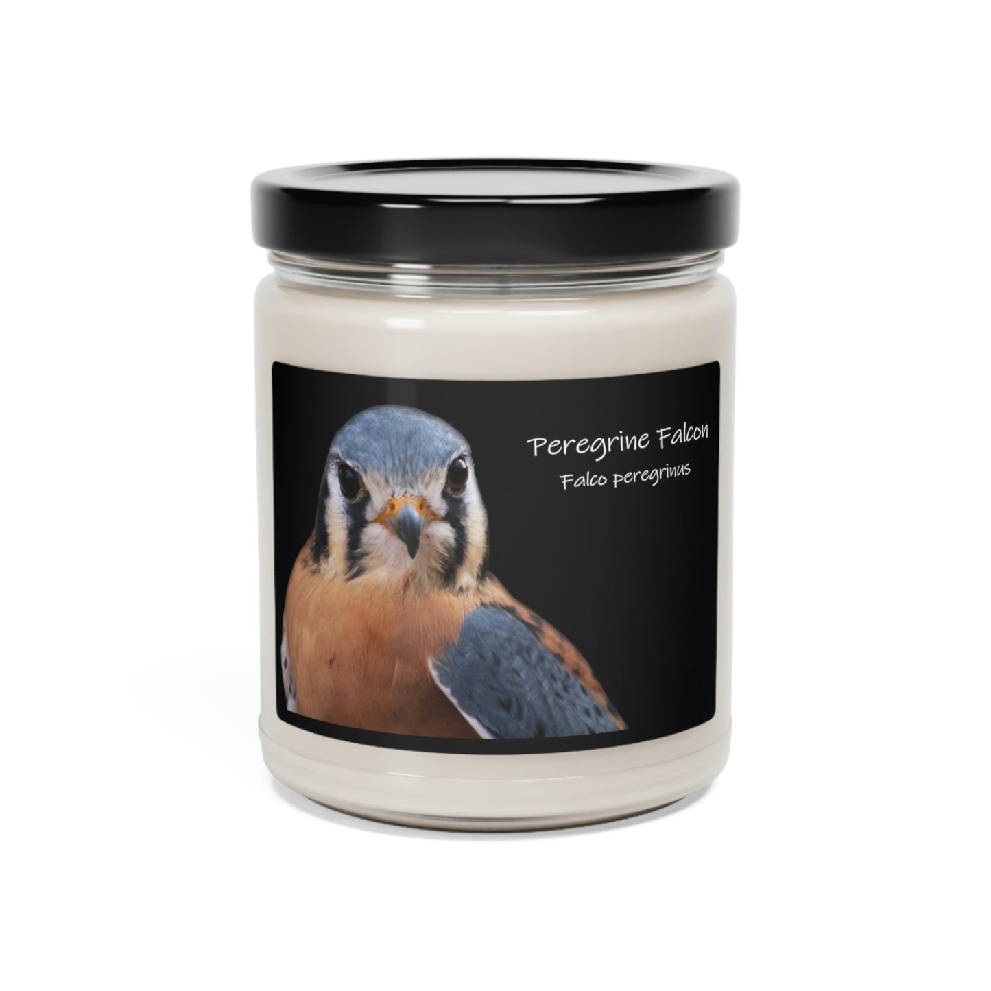 Peregrine Falcon Scented Soy Candle - 9oz