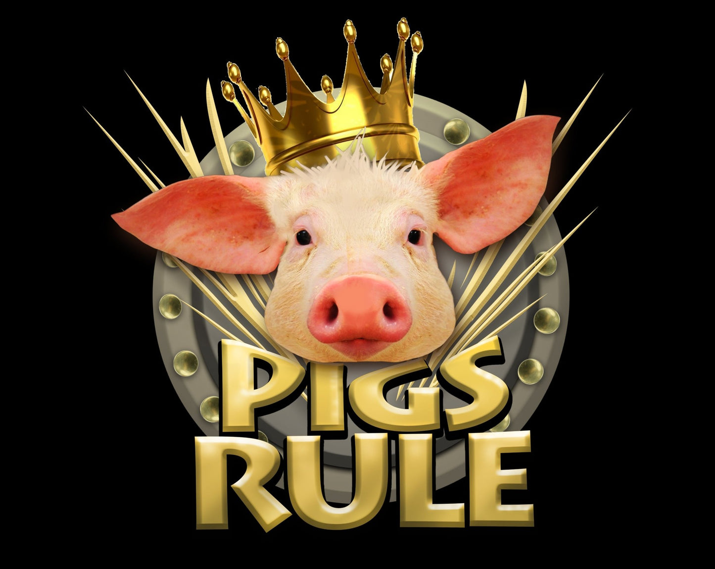 Pigs Rule Tshirt Kids Protective Rash Guard Long Sleeve Cool