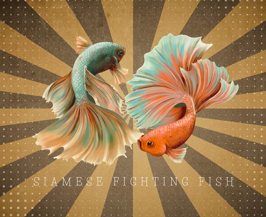 Siamese Fighting Fish Burst Heavy Cotton T-Shirt
