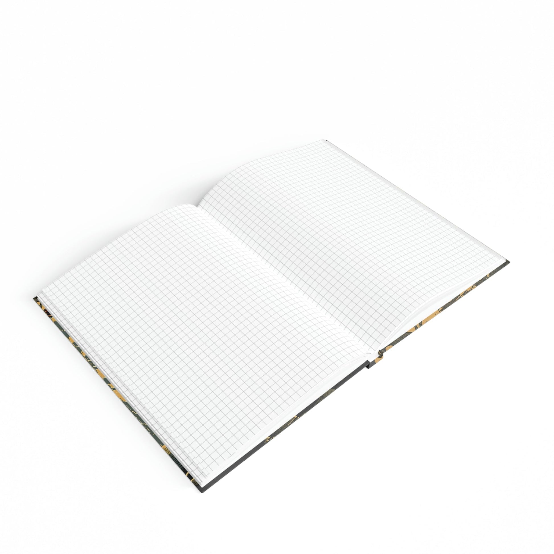 Terrible Pterodactyl Hard Backed Journal
