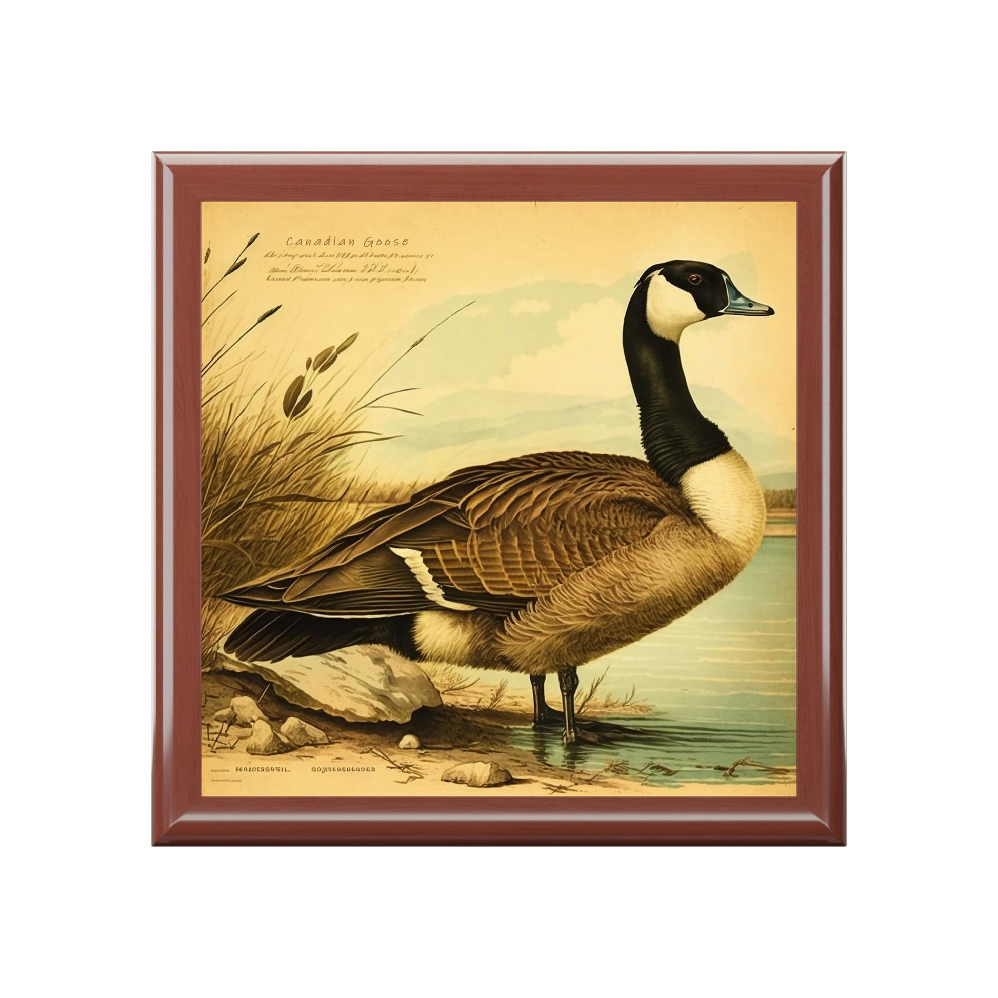 Vintage Canadian Goose Wooden Keepsake Jewelry Box