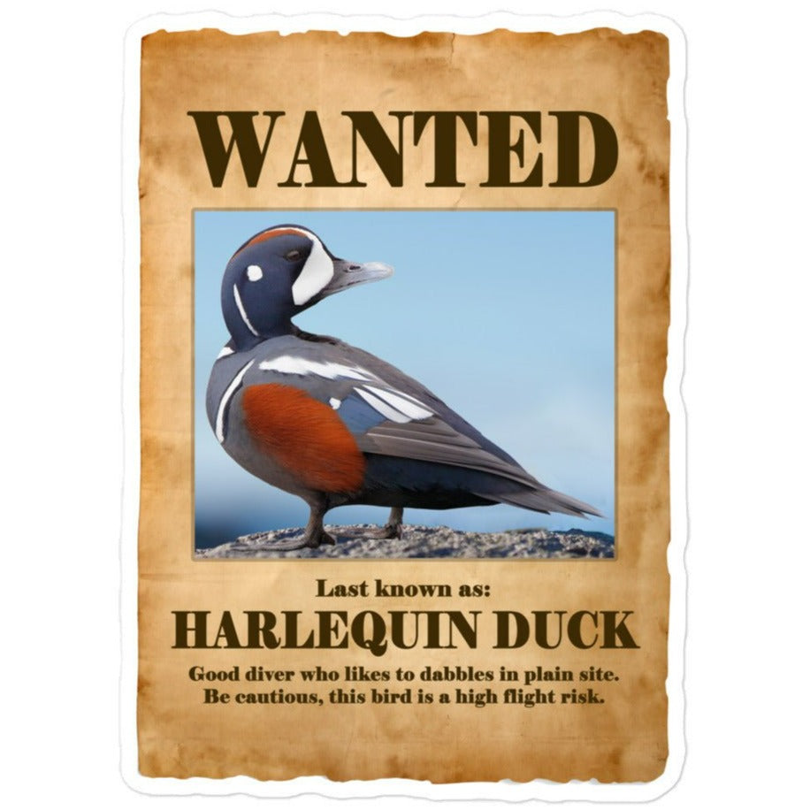 Wanted: Harlequin Duck Bubble-Free Stickers