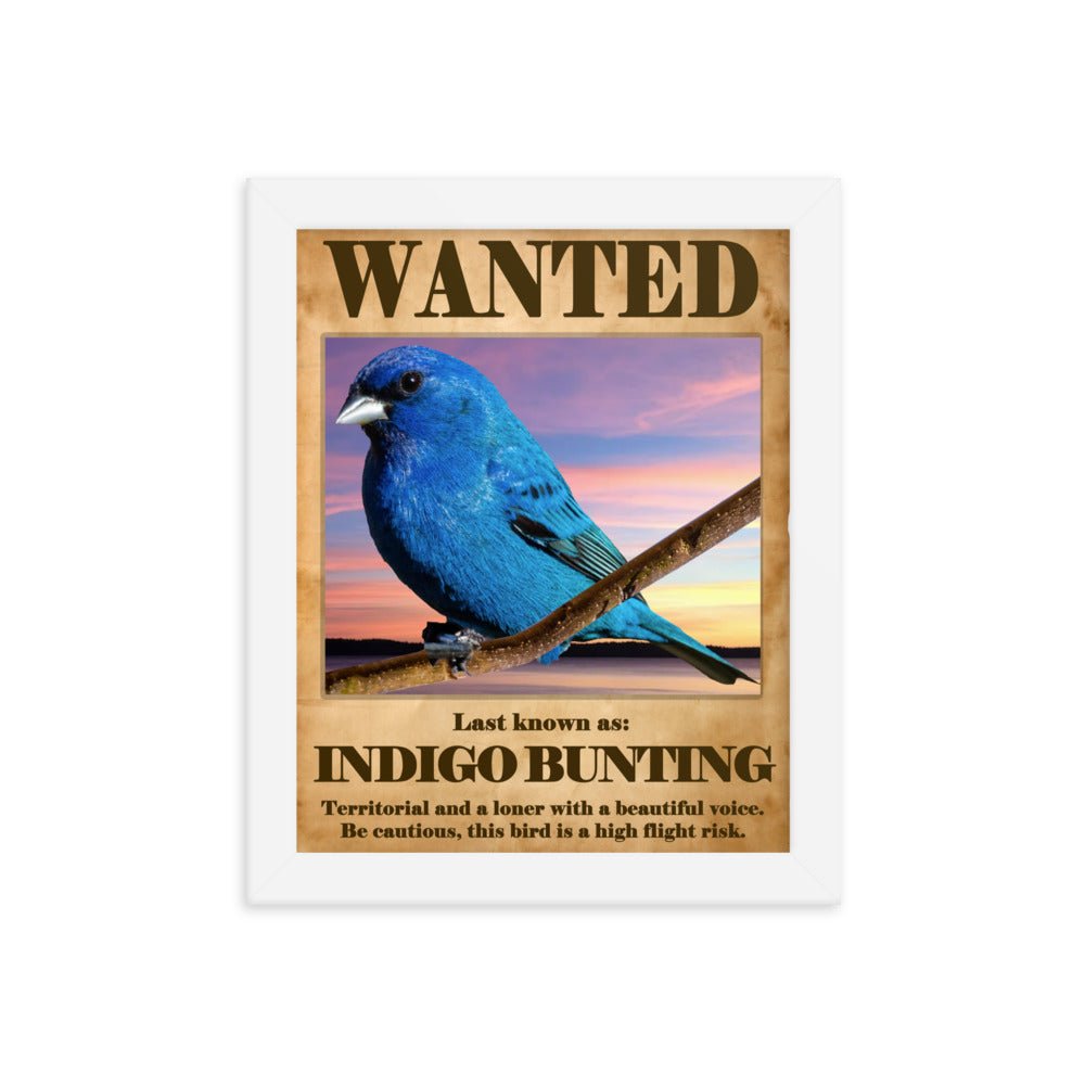 Wanted: Indigo Bunting Framed Poster - 8"x10" or 11"x14"