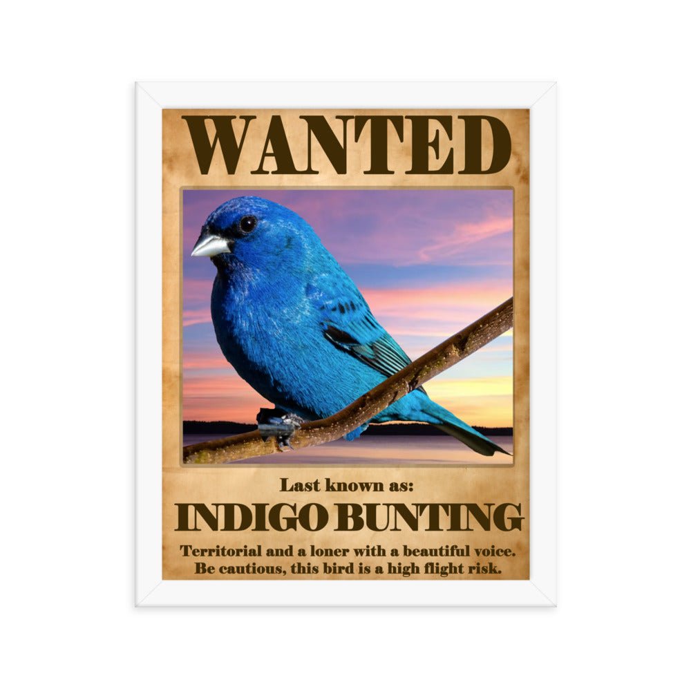 Wanted: Indigo Bunting Framed Poster - 8"x10" or 11"x14"