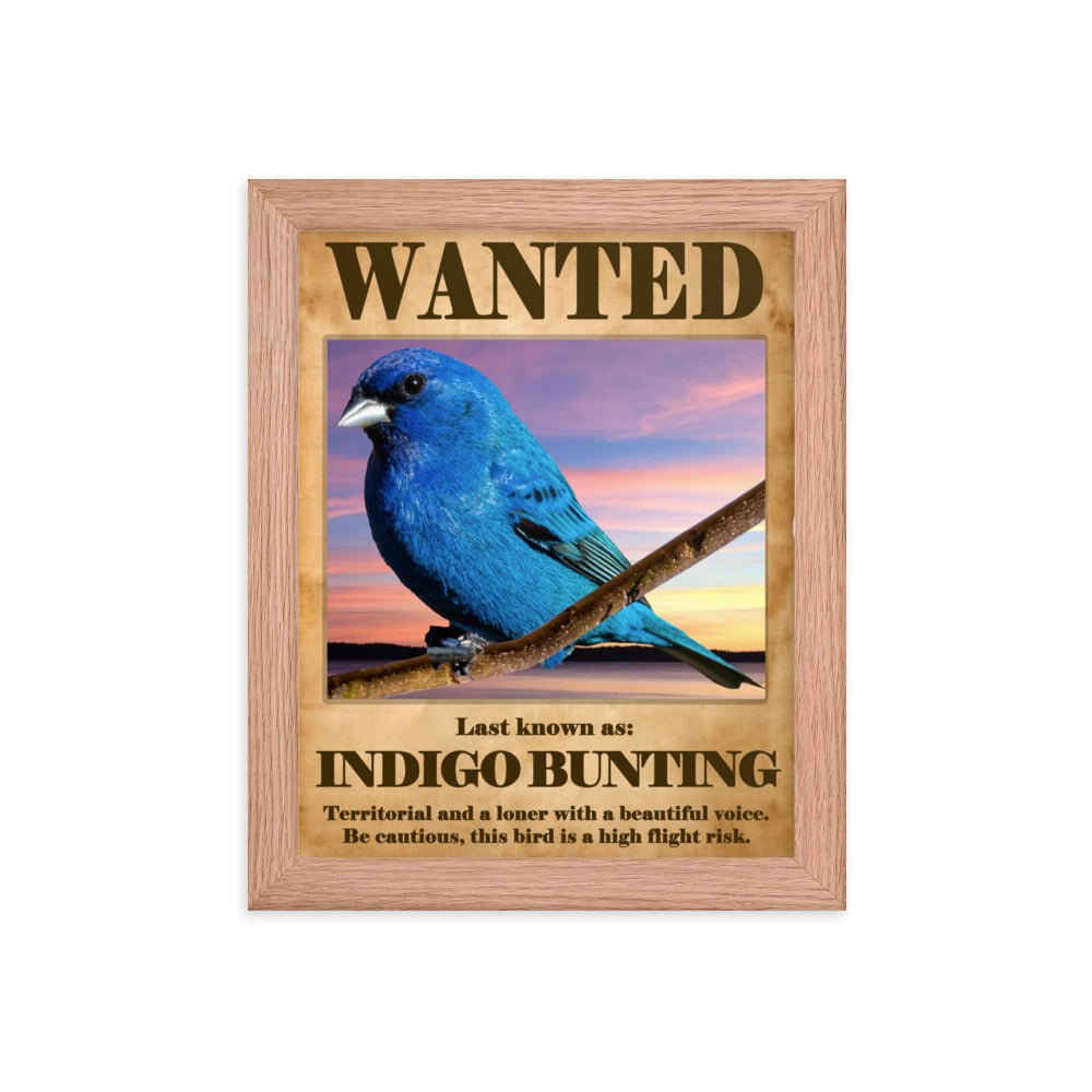 Wanted: Indigo Bunting Framed Poster - 8"x10" or 11"x14"