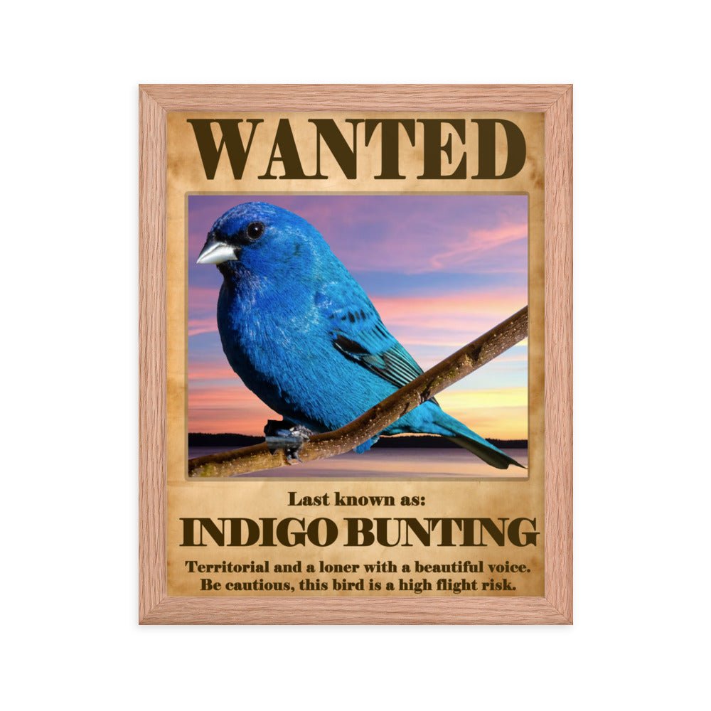 Wanted: Indigo Bunting Framed Poster - 8"x10" or 11"x14"