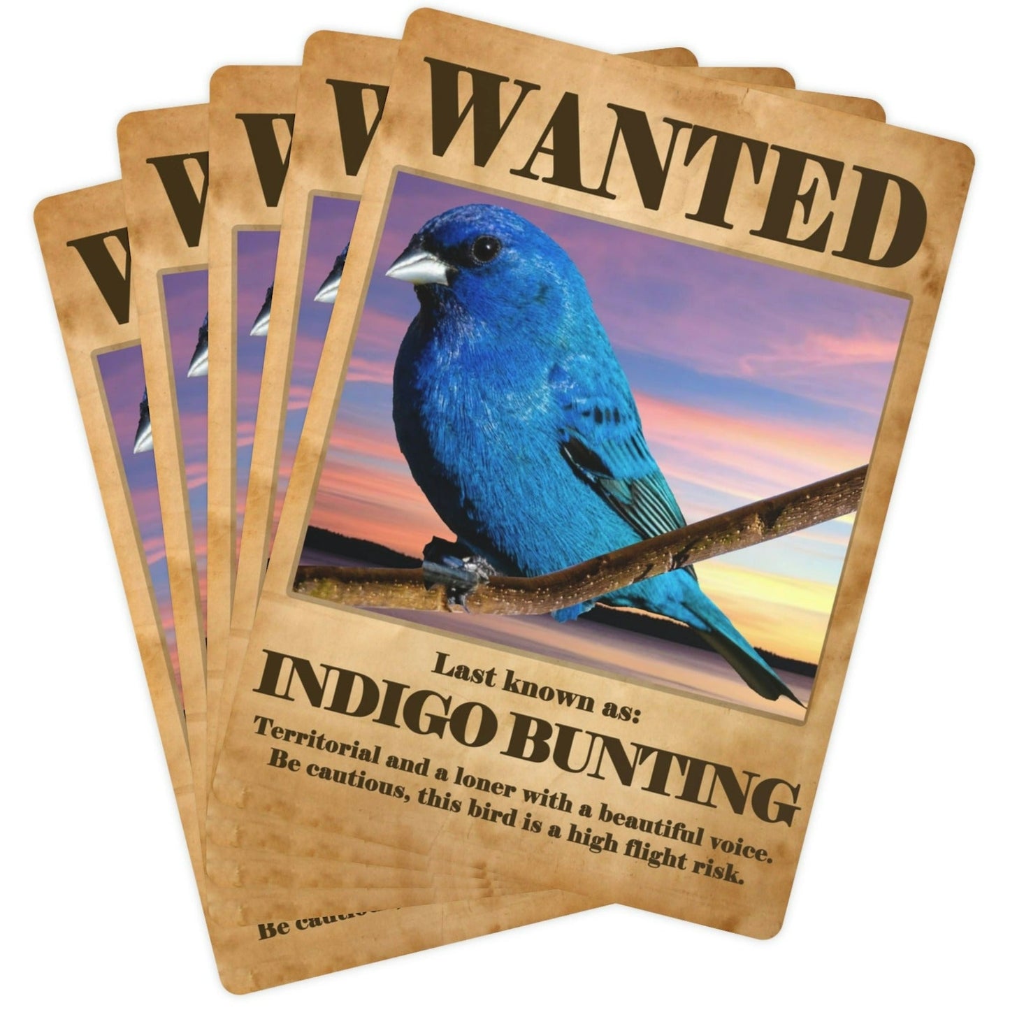 Wanted: Indigo Bunting Poker Playing Cards