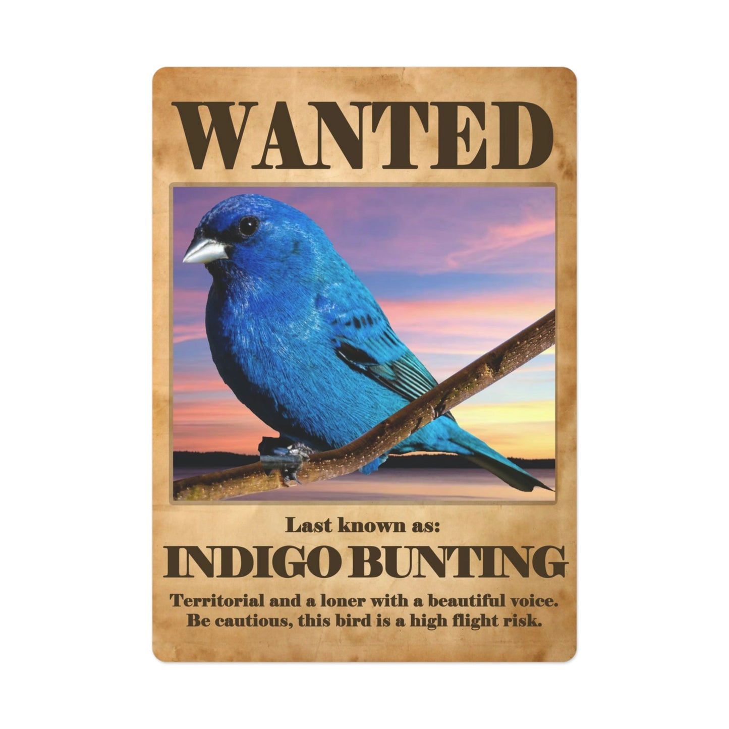 Wanted: Indigo Bunting Poker Playing Cards