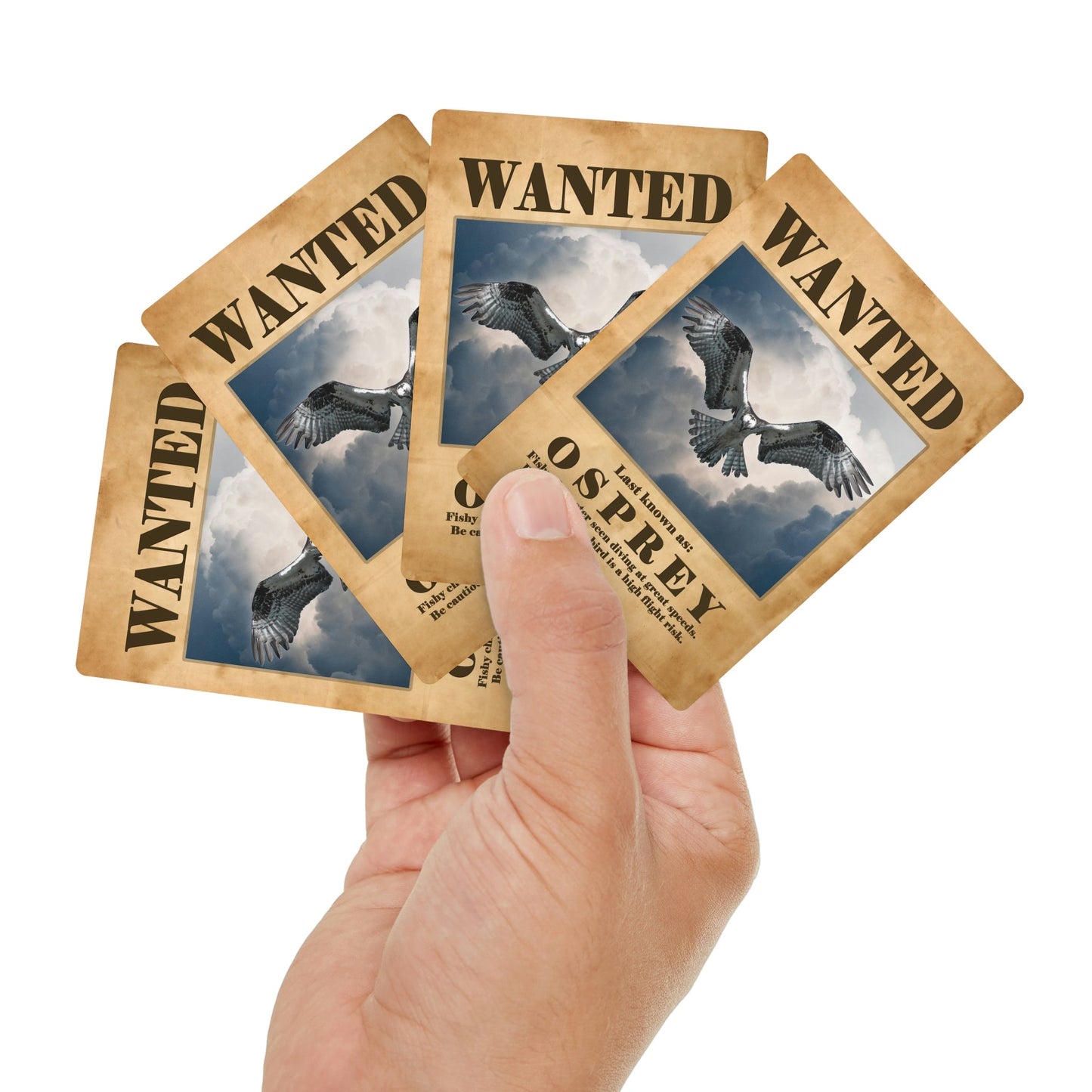 Wanted: Osprey Poker Playing Cards