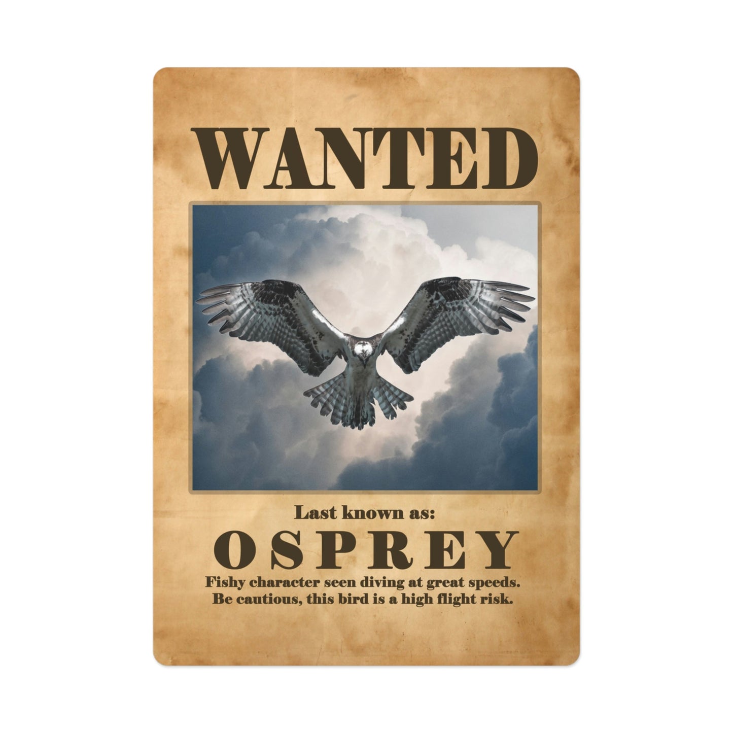 Wanted: Osprey Poker Playing Cards