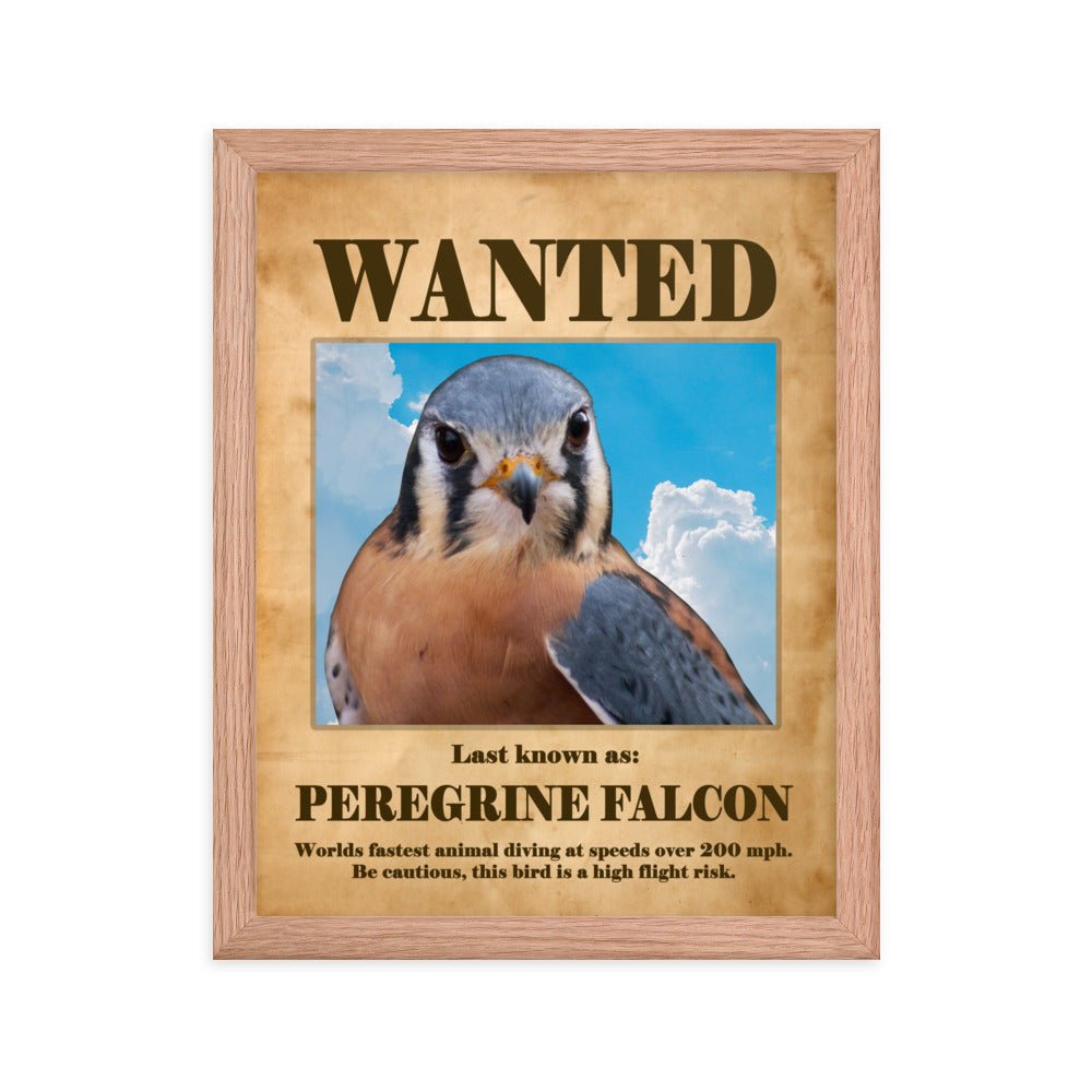Wanted: Peregrine Falcon Framed Poster