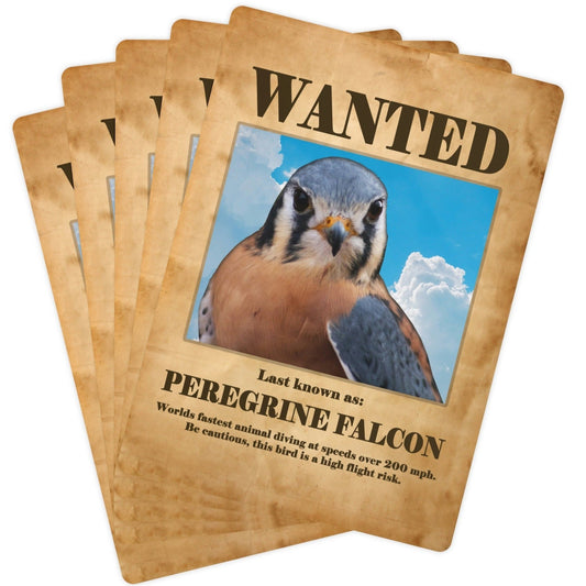 Wanted: Peregrine Falcon Poker Playing Cards