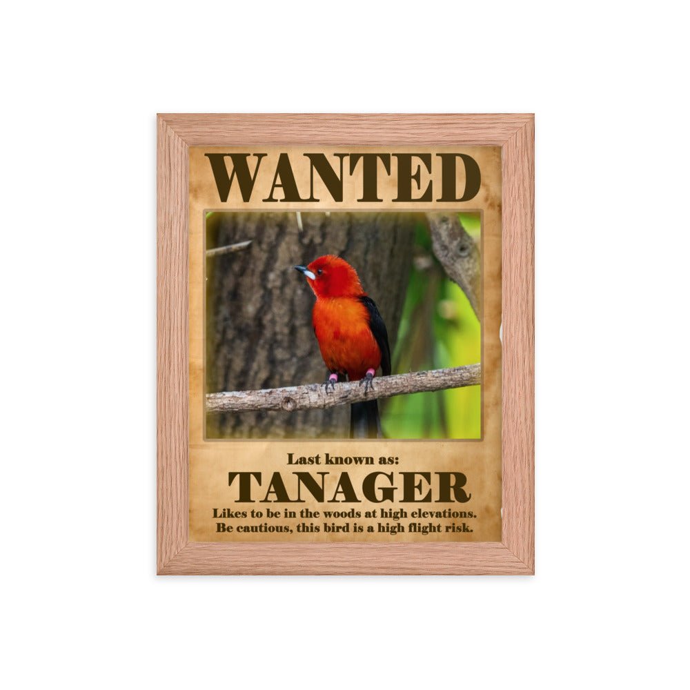 Wanted: Tanager Framed Poster - 8"x10" or 11"x14"