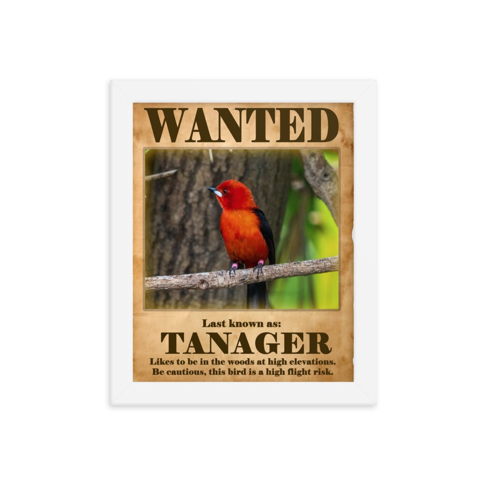 Wanted: Tanager Framed Poster - 8"x10" or 11"x14"