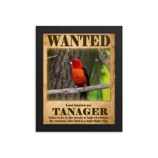 Wanted: Tanager Framed Poster - 8"x10" or 11"x14"
