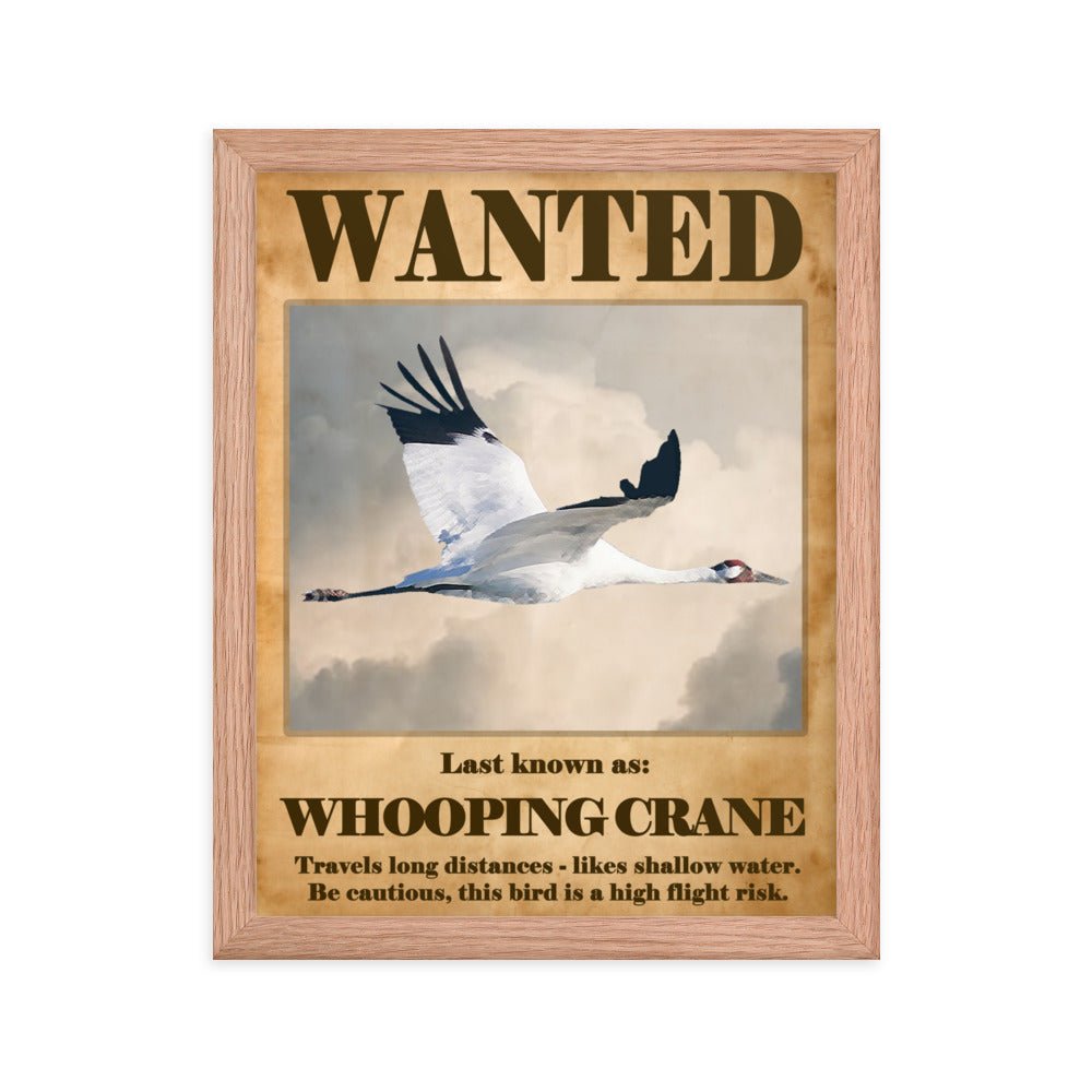 Wanted: Whooping Crane Framed Poster - 8"x10" or 11"x14"