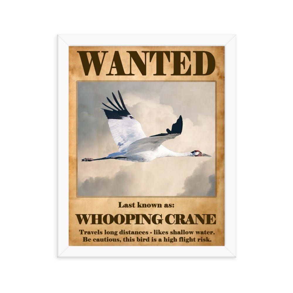 Wanted: Whooping Crane Framed Poster - 8"x10" or 11"x14"