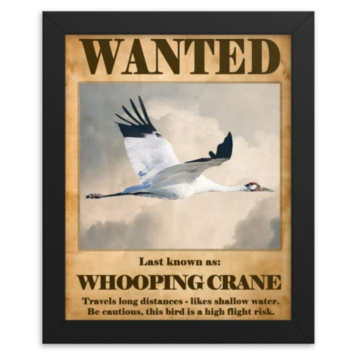 Wanted: Whooping Crane Framed Poster - 8"x10" or 11"x14"