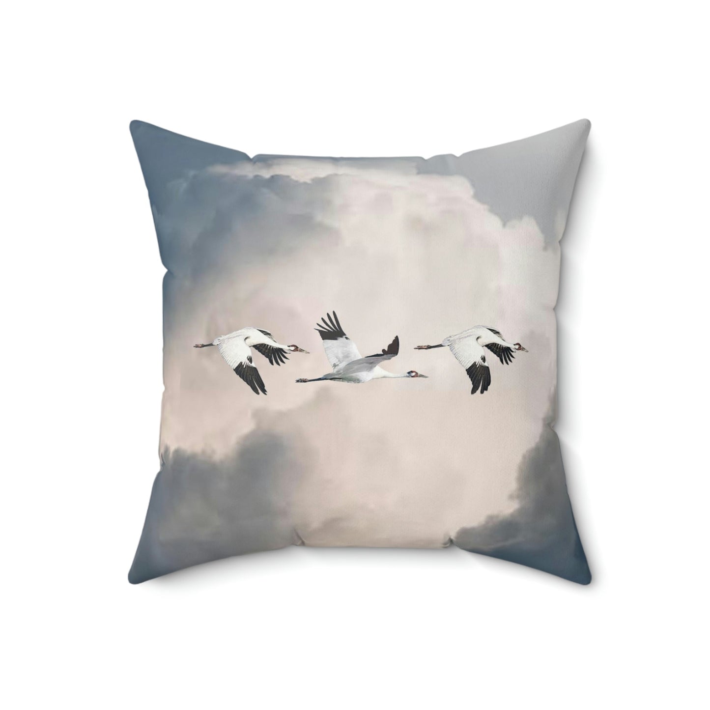 Whooping Crande Storm Cloud Square Pillow