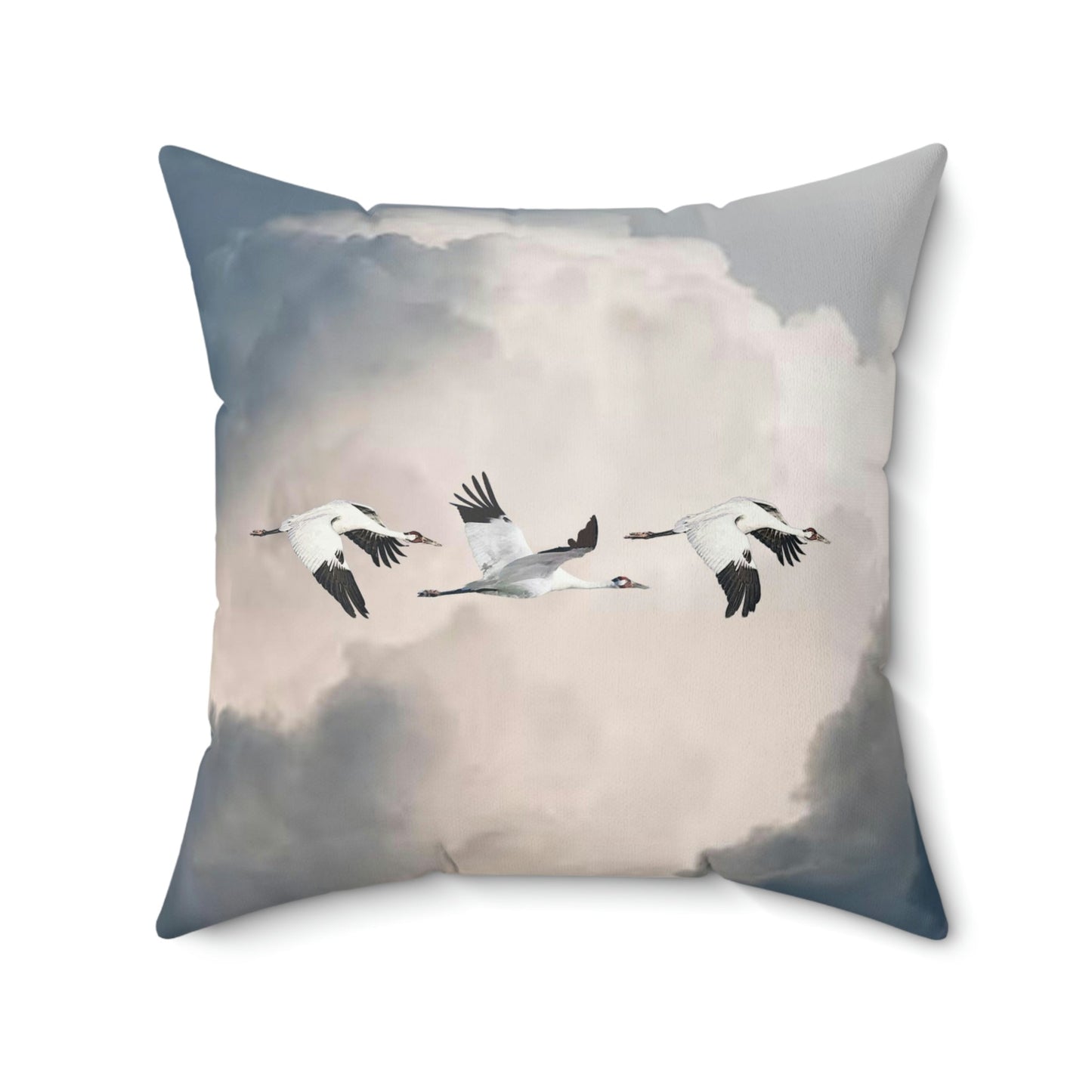 Whooping Crande Storm Cloud Square Pillow