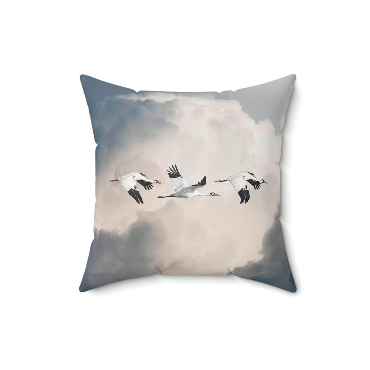 Whooping Crande Storm Cloud Square Pillow