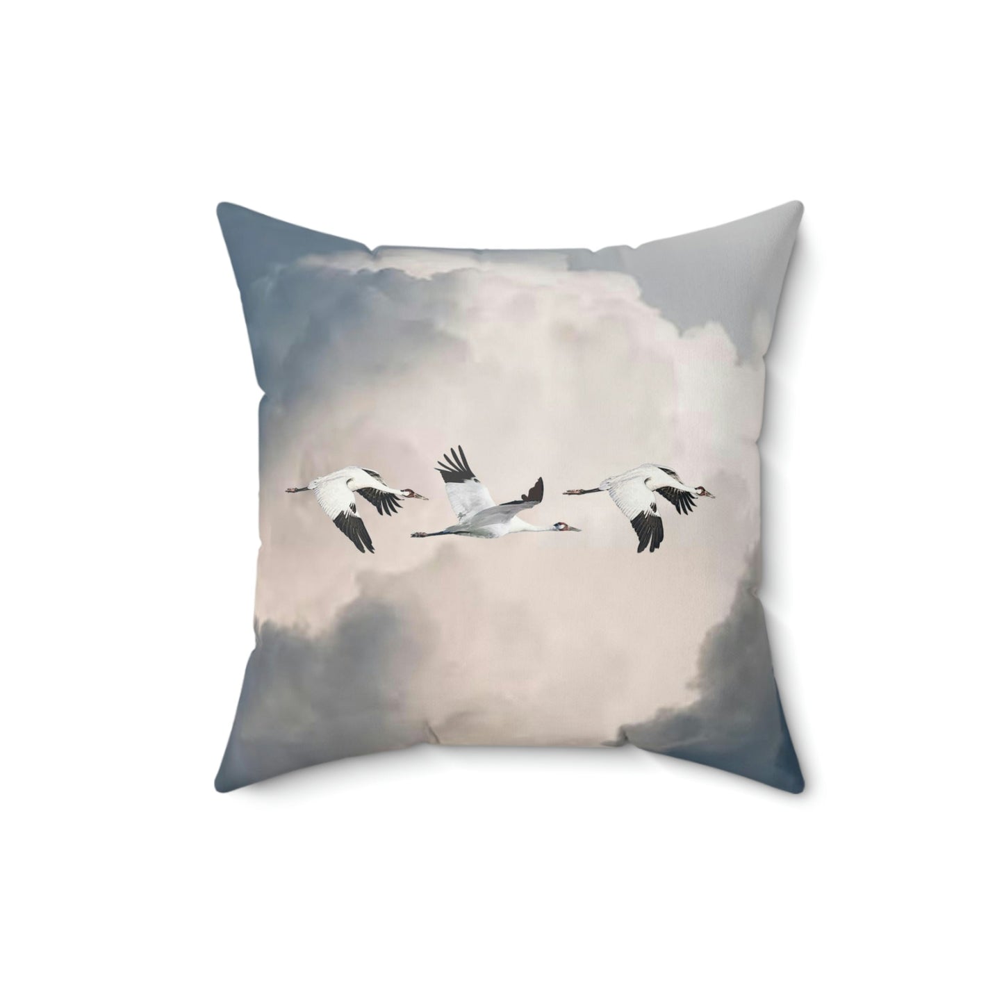 Whooping Crande Storm Cloud Square Pillow