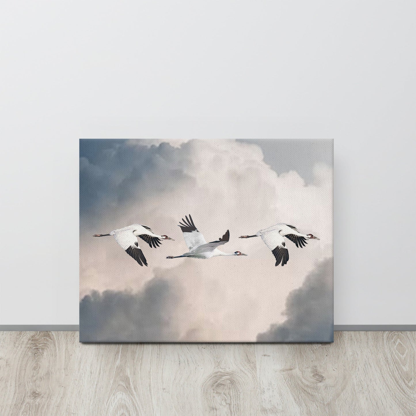 Whooping Crane Canvas Print