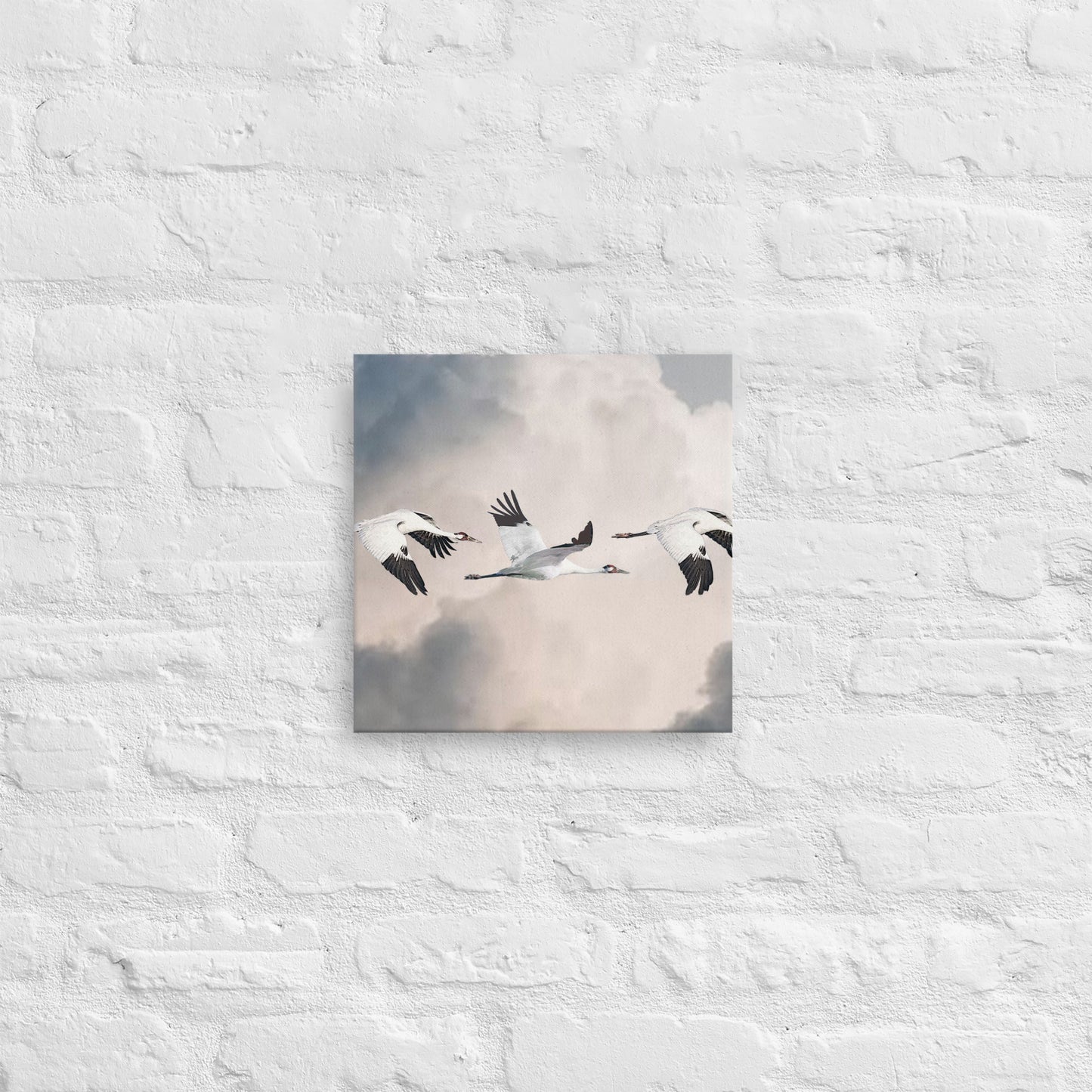 Whooping Crane Canvas Print