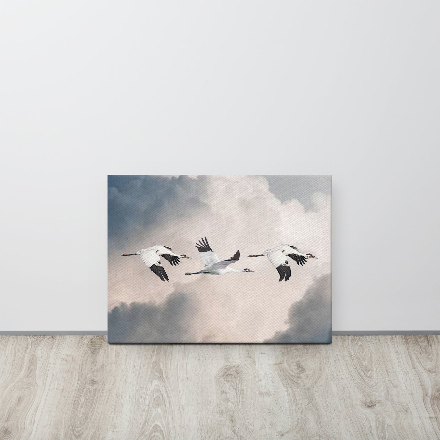 Whooping Crane Canvas Print