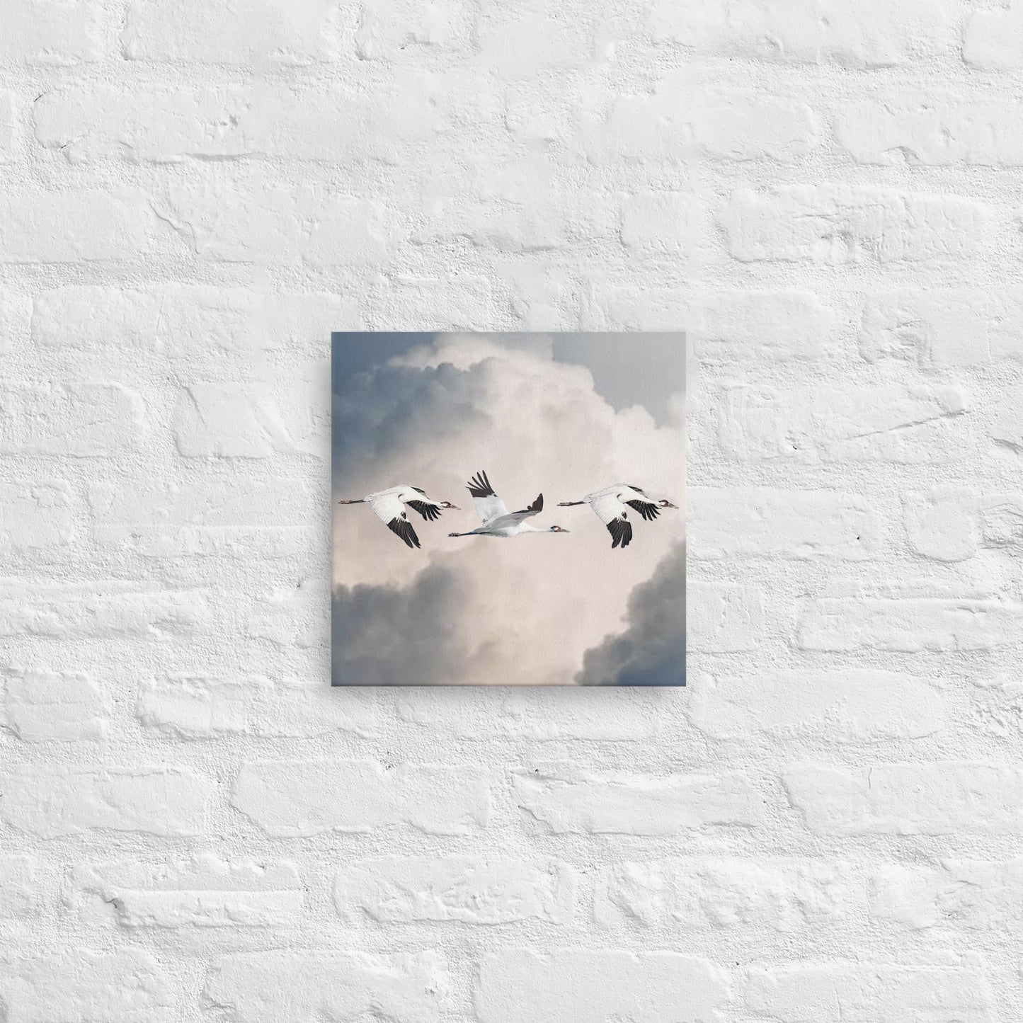 Whooping Crane Canvas Print