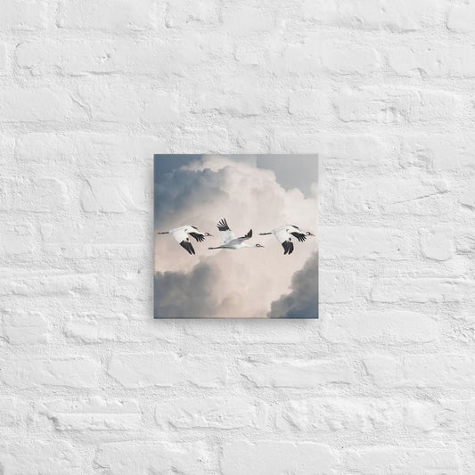 Whooping Crane Canvas Print