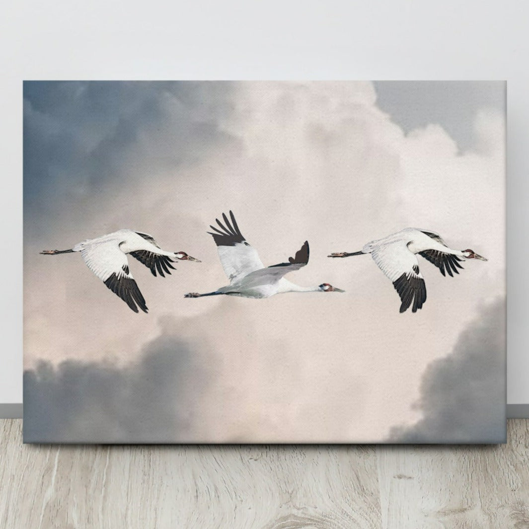 Whooping Crane Canvas Print
