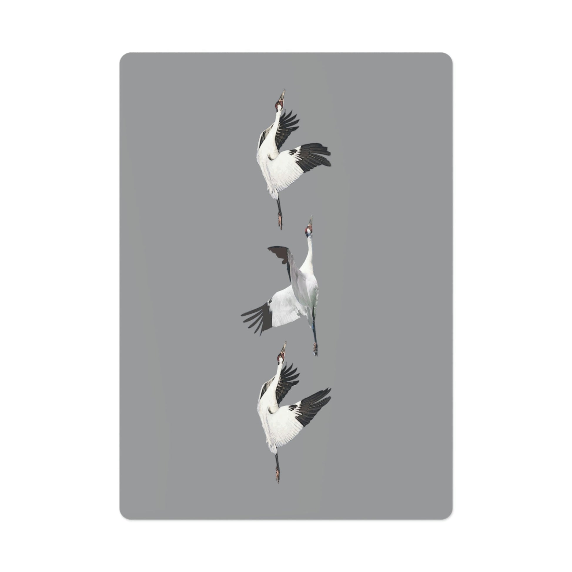 Whooping Crane II Poker Playing Cards