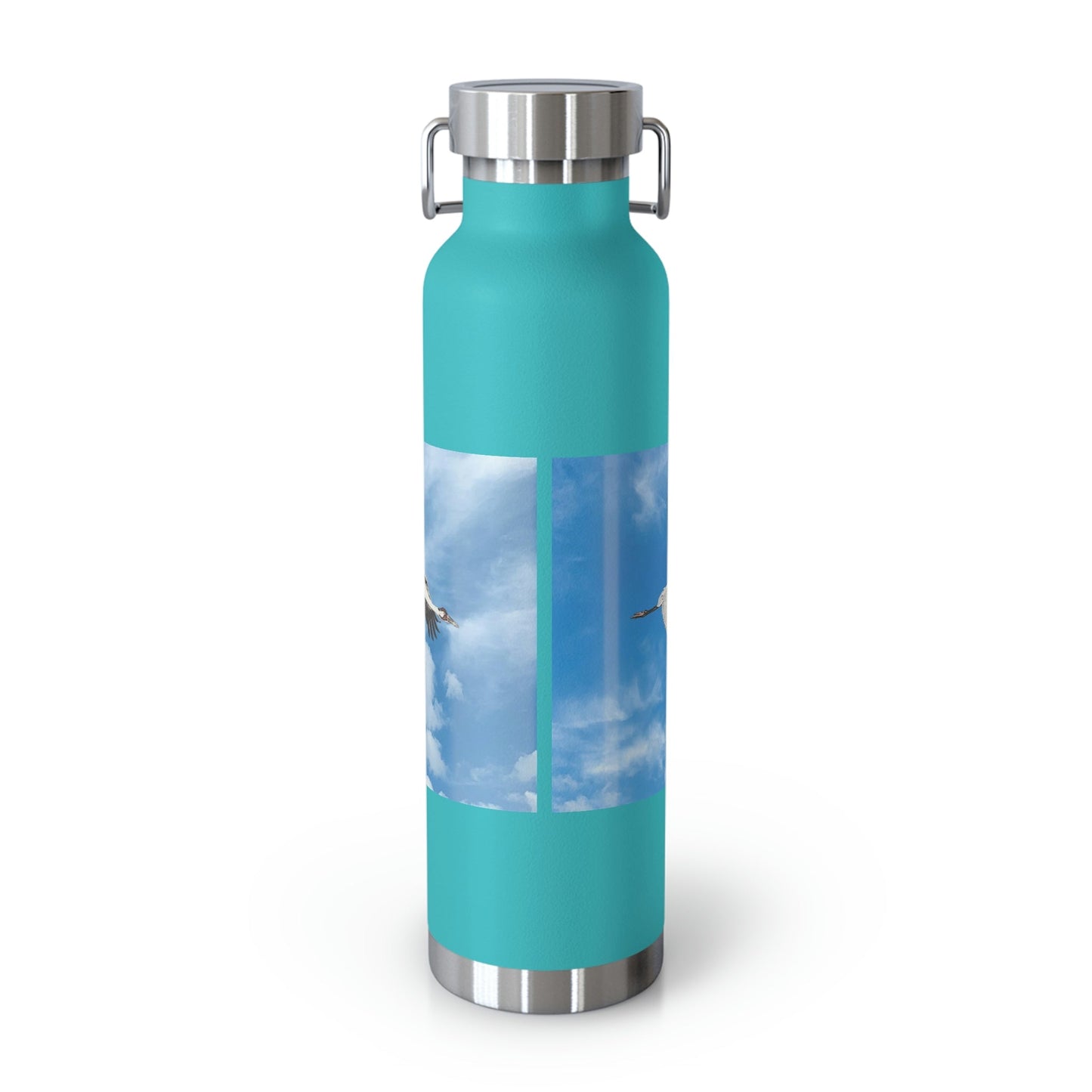 Whooping Cranes in Flight | Copper Vacuum Insulated Bottle, 22oz