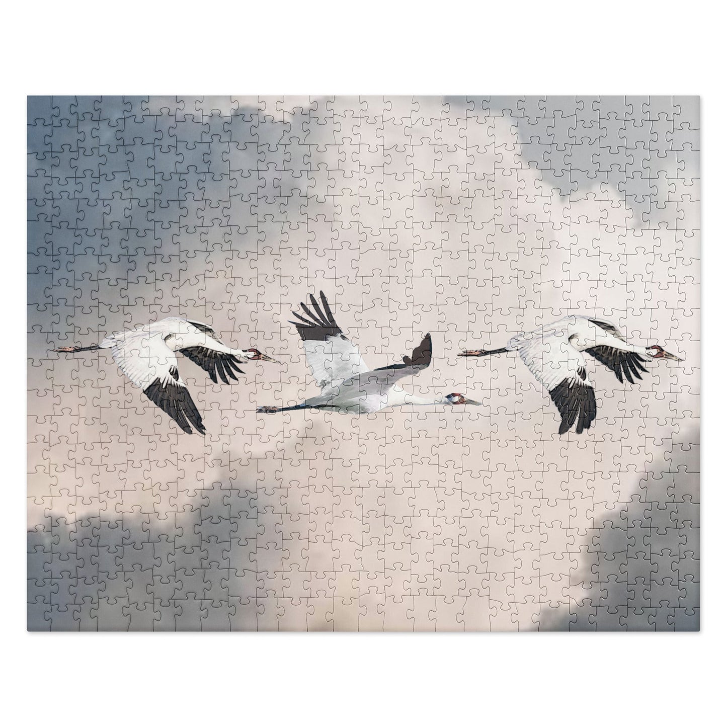 Whooping Cranes Jigsaw Puzzle