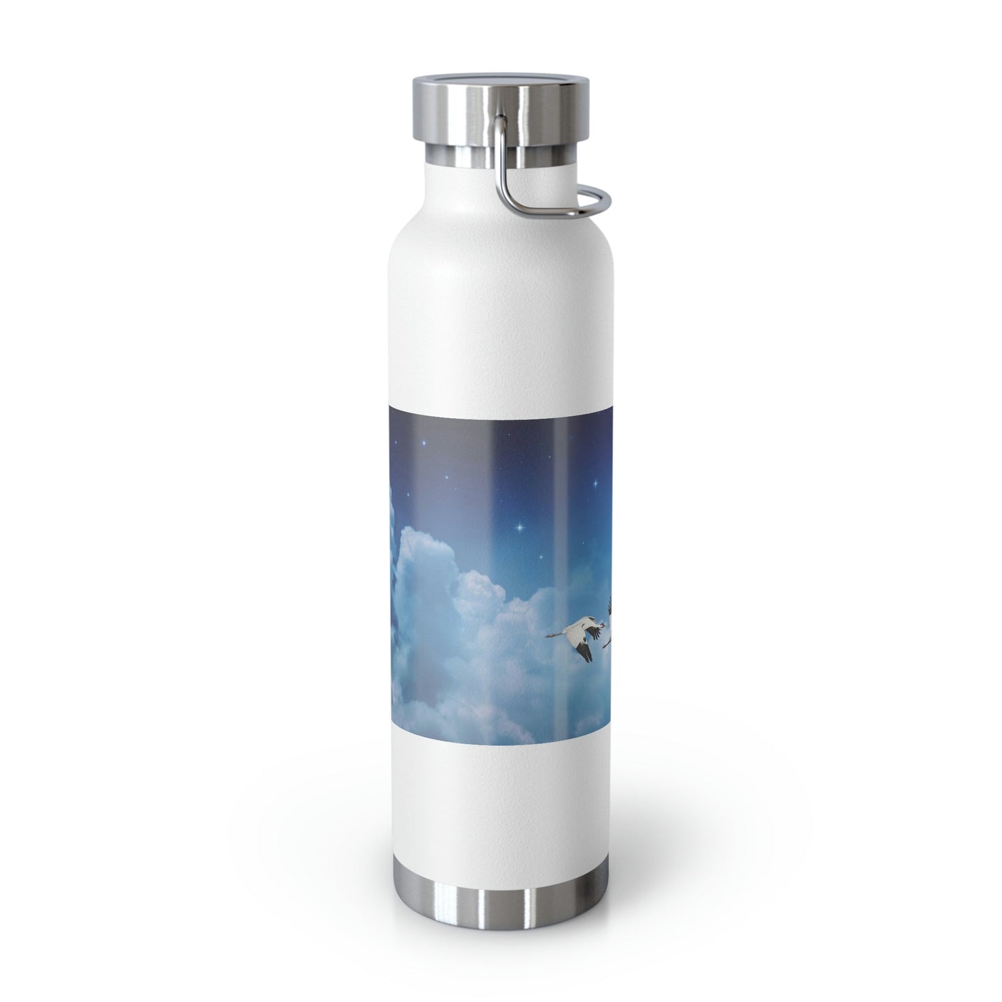 Whooping Cranes Midnight Run | Copper Vacuum Insulated Bottle, 22oz