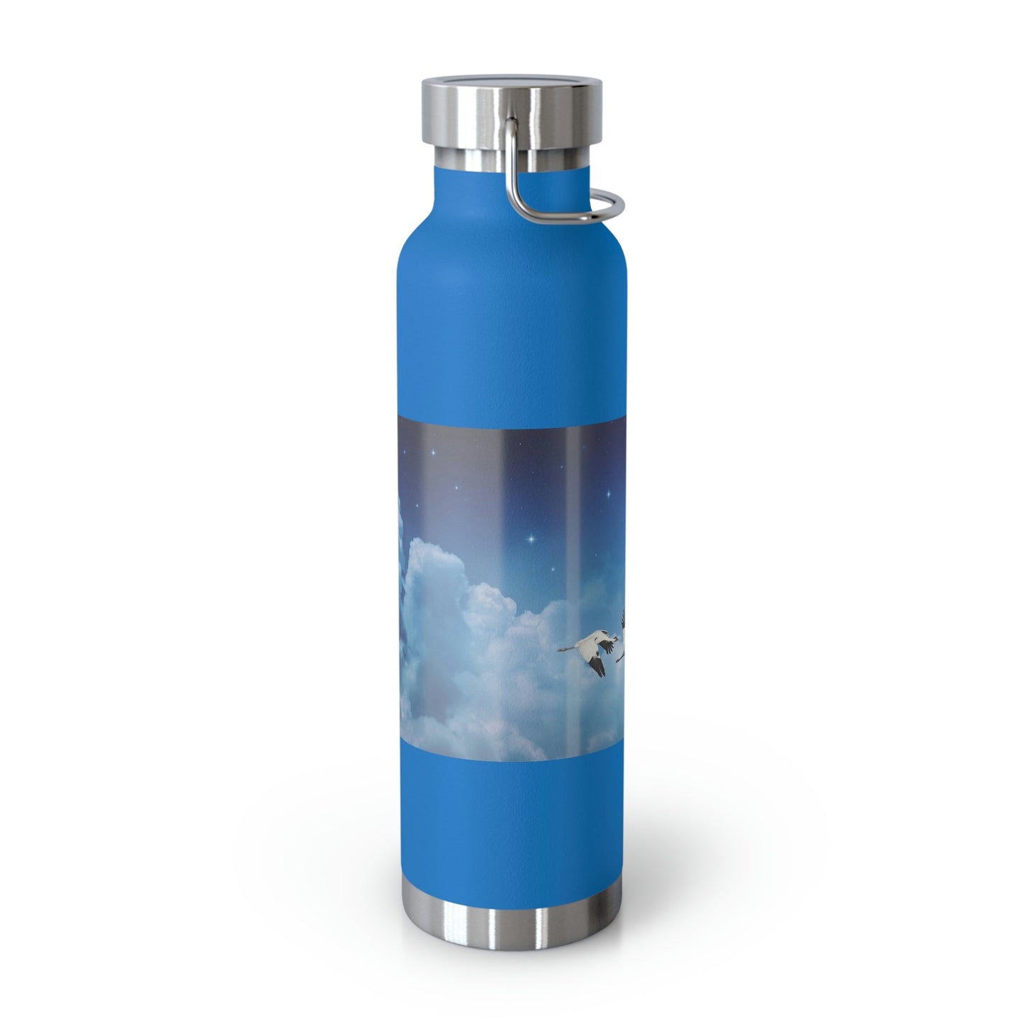 Whooping Cranes Midnight Run | Copper Vacuum Insulated Bottle, 22oz