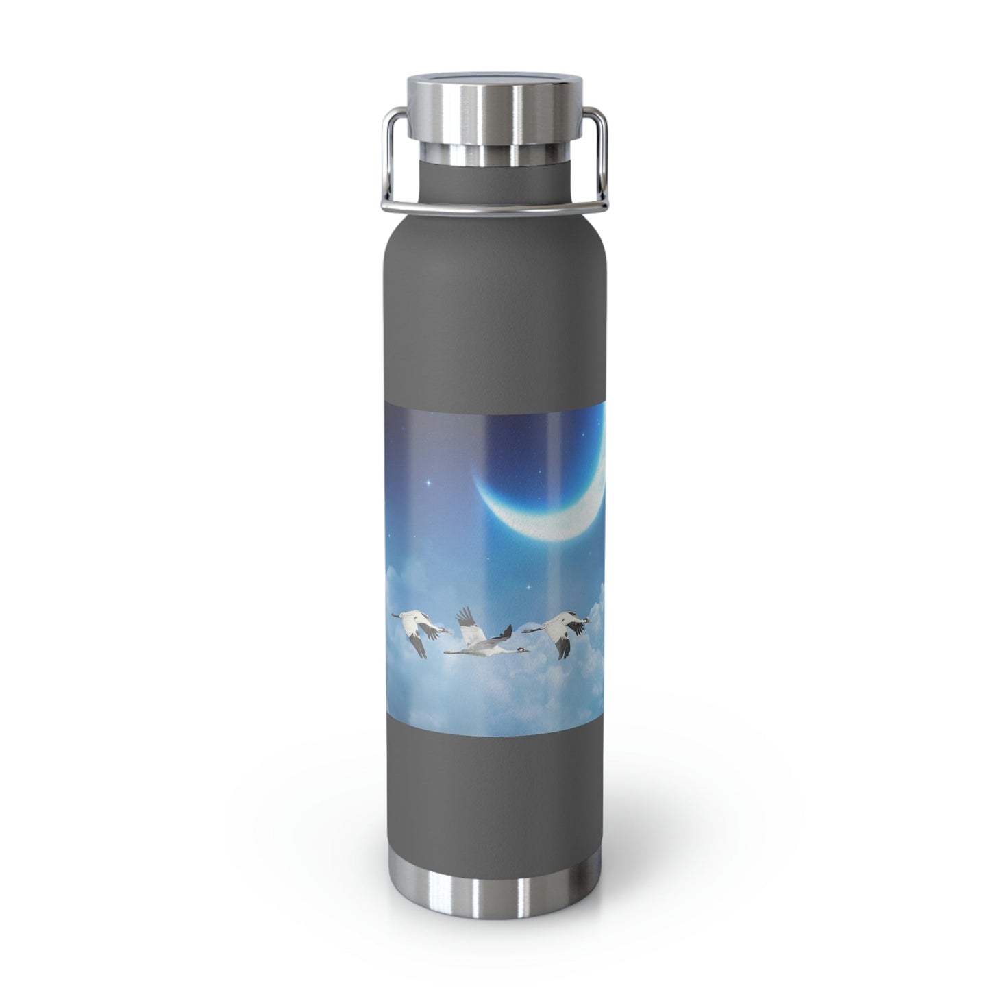 Whooping Cranes Midnight Run | Copper Vacuum Insulated Bottle, 22oz