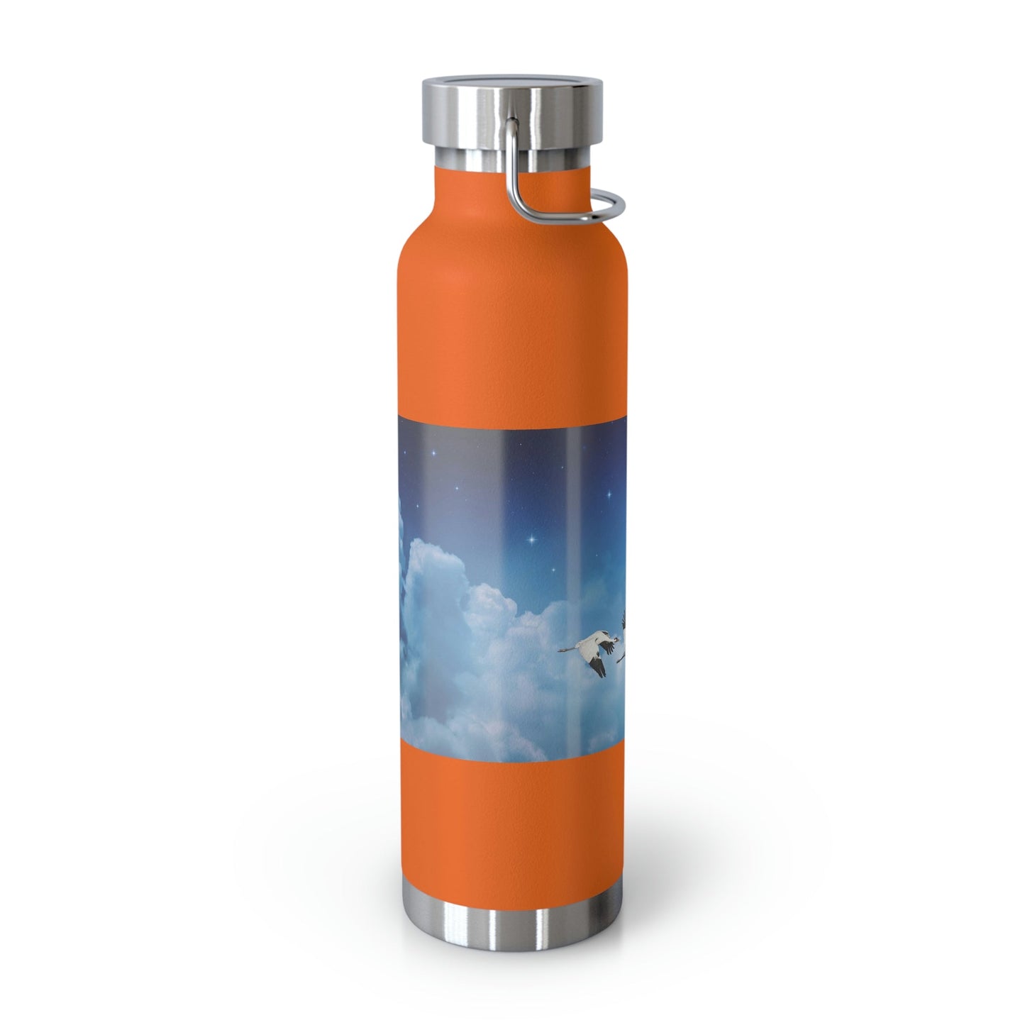 Whooping Cranes Midnight Run | Copper Vacuum Insulated Bottle, 22oz