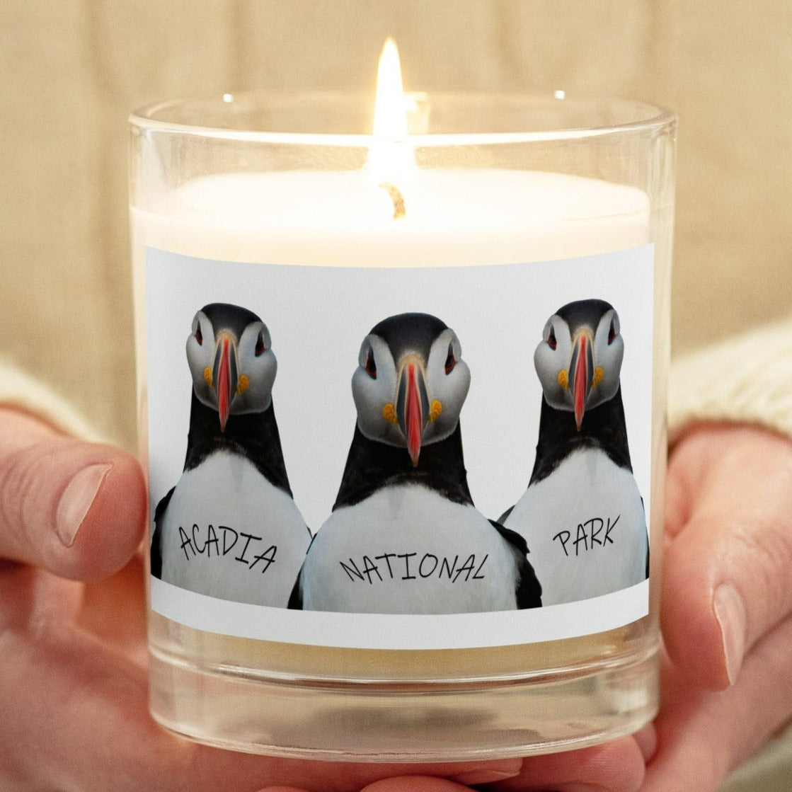 Acadia Puffin Glass Jar Soy Wax Candle