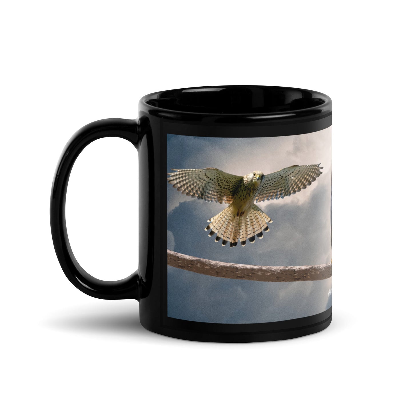 American Kestrel Black Glossy Ceramic Mug