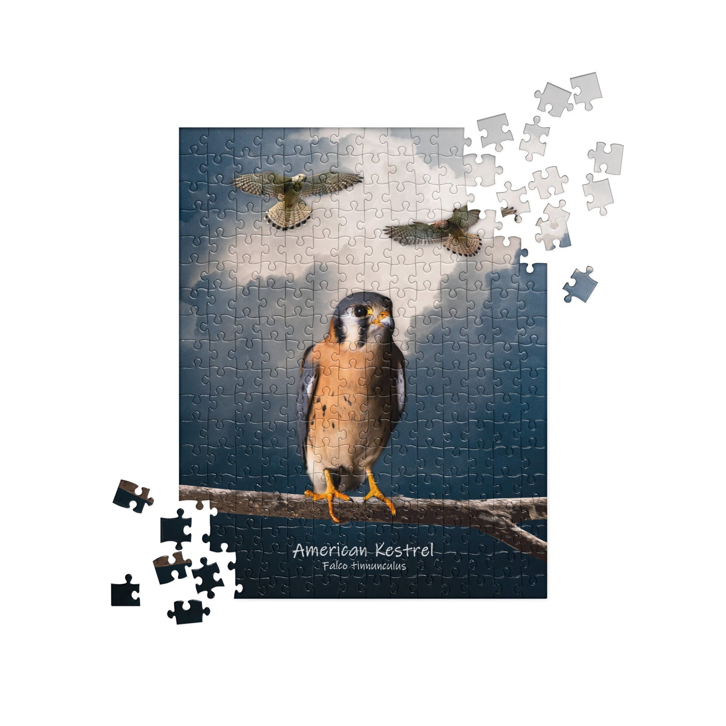 American Kestrel Jigsaw Puzzle