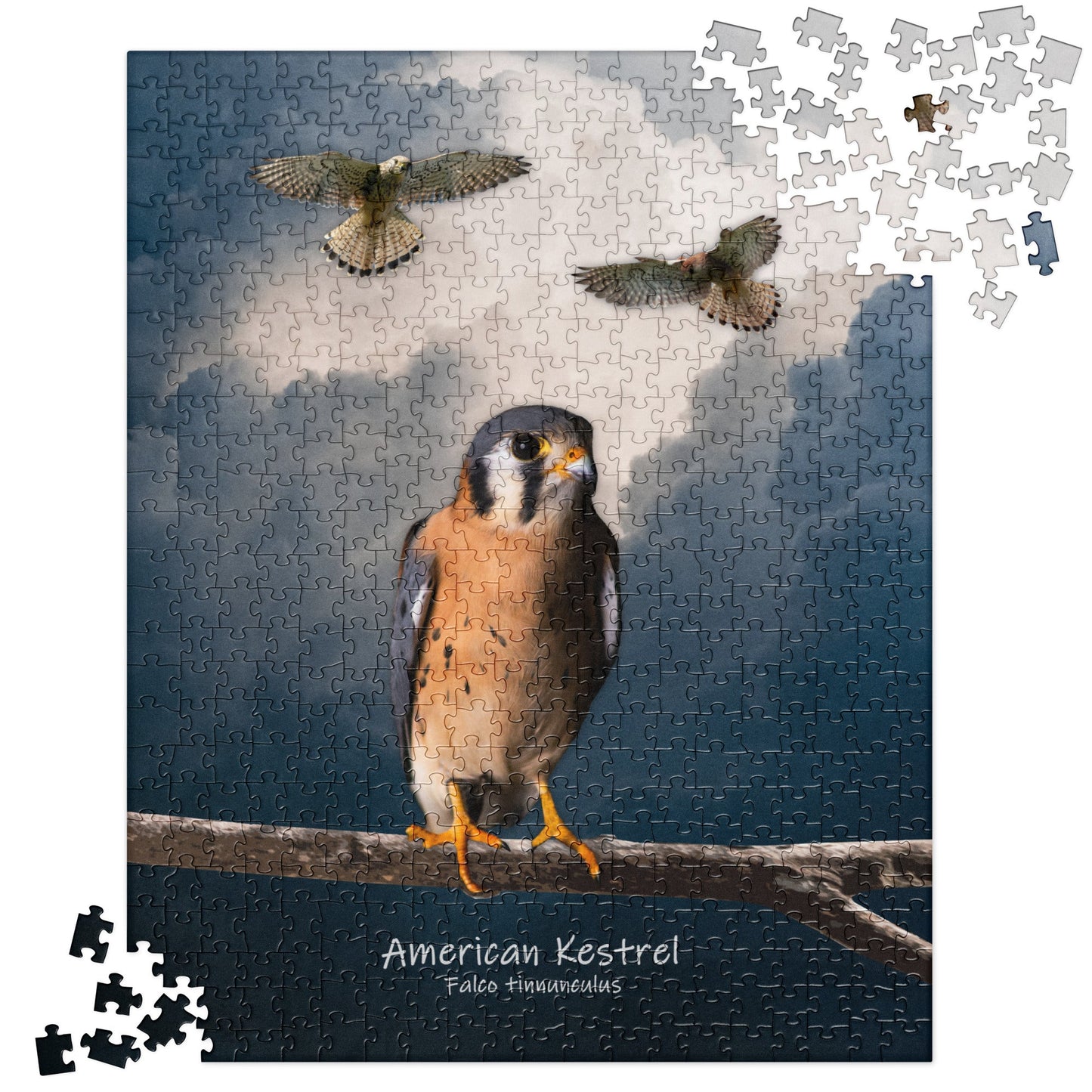 American Kestrel Jigsaw Puzzle