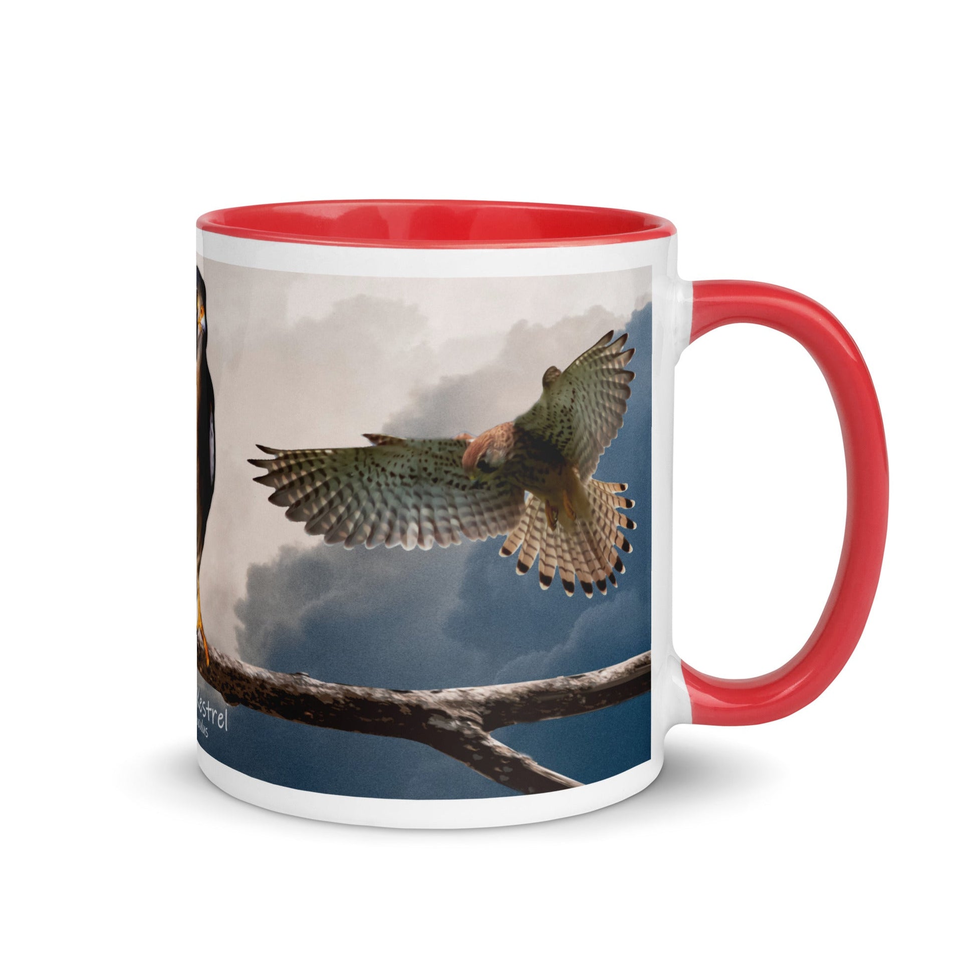 American Kestrel Mug with Color Inside