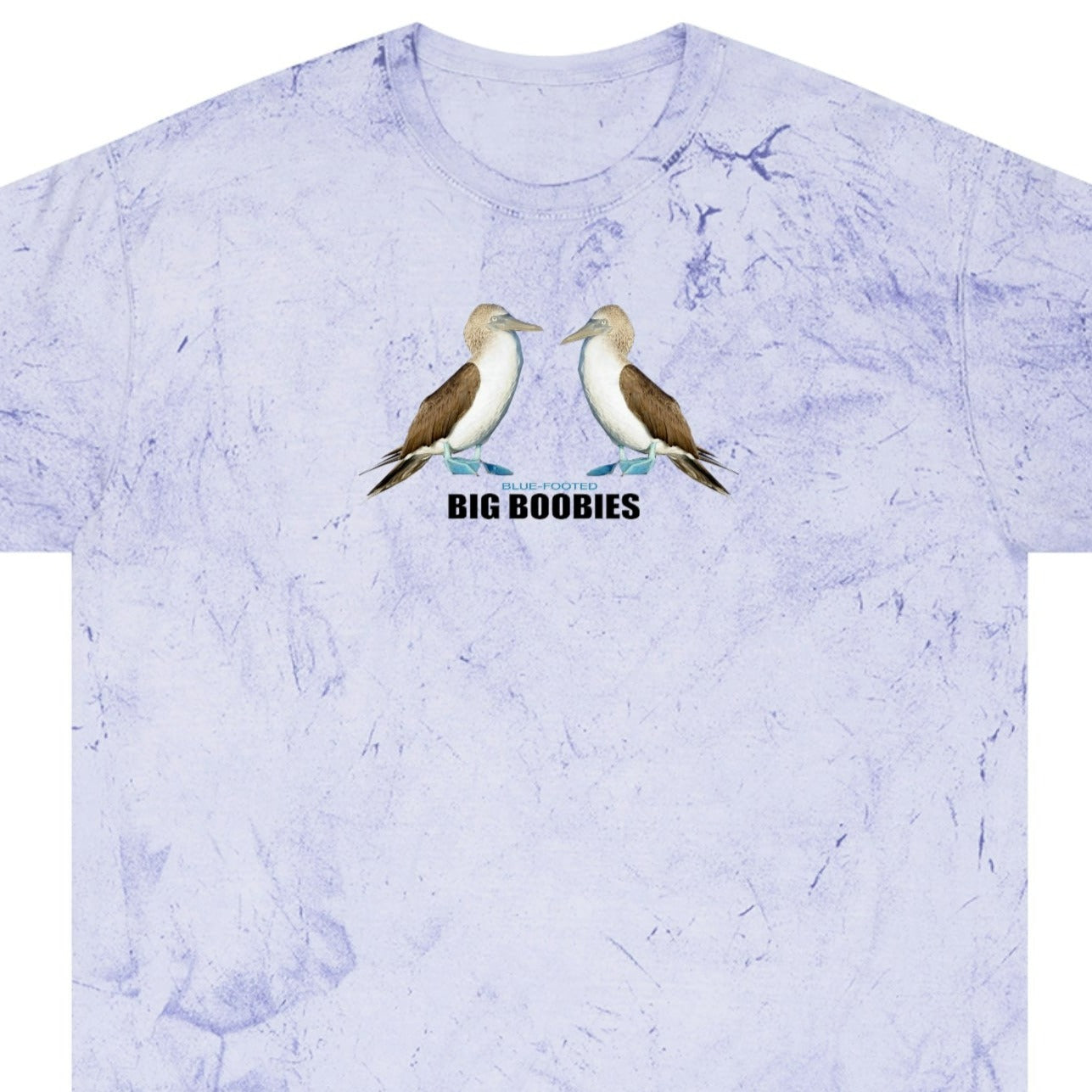 Big Blue-Footed Boobies Color Blast Tie-Dye T-Shirt