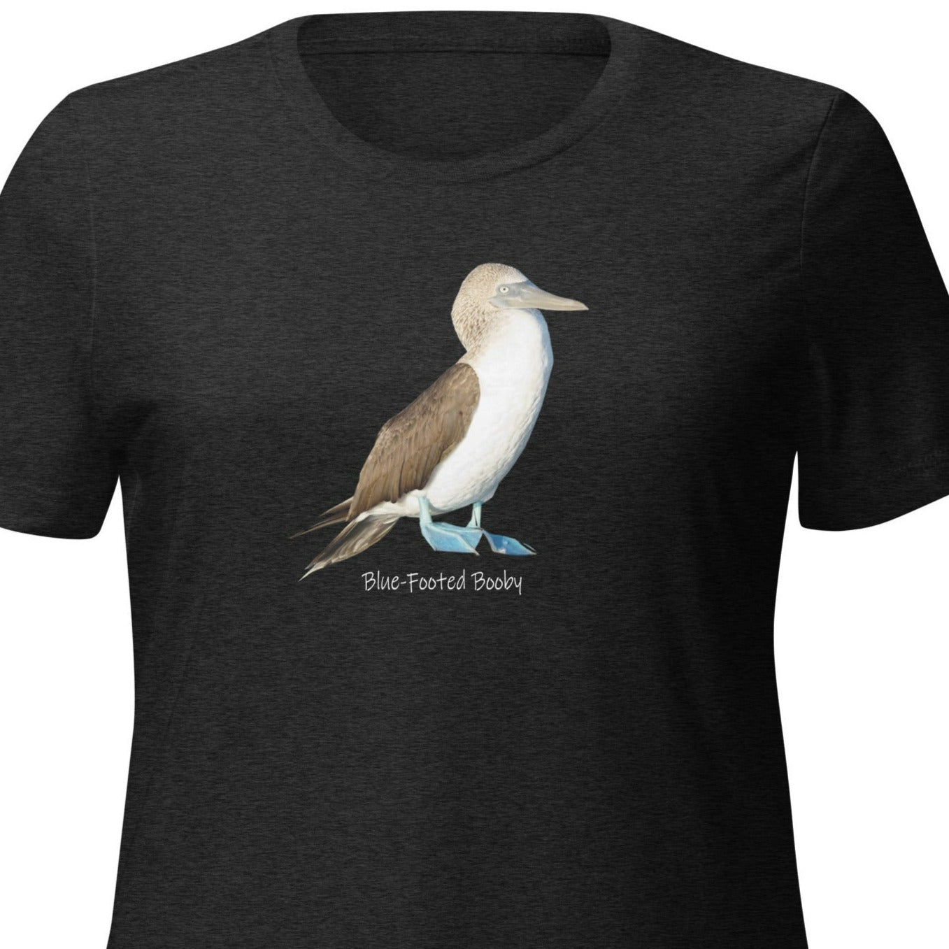 Blue-Footed Booby Womens Top