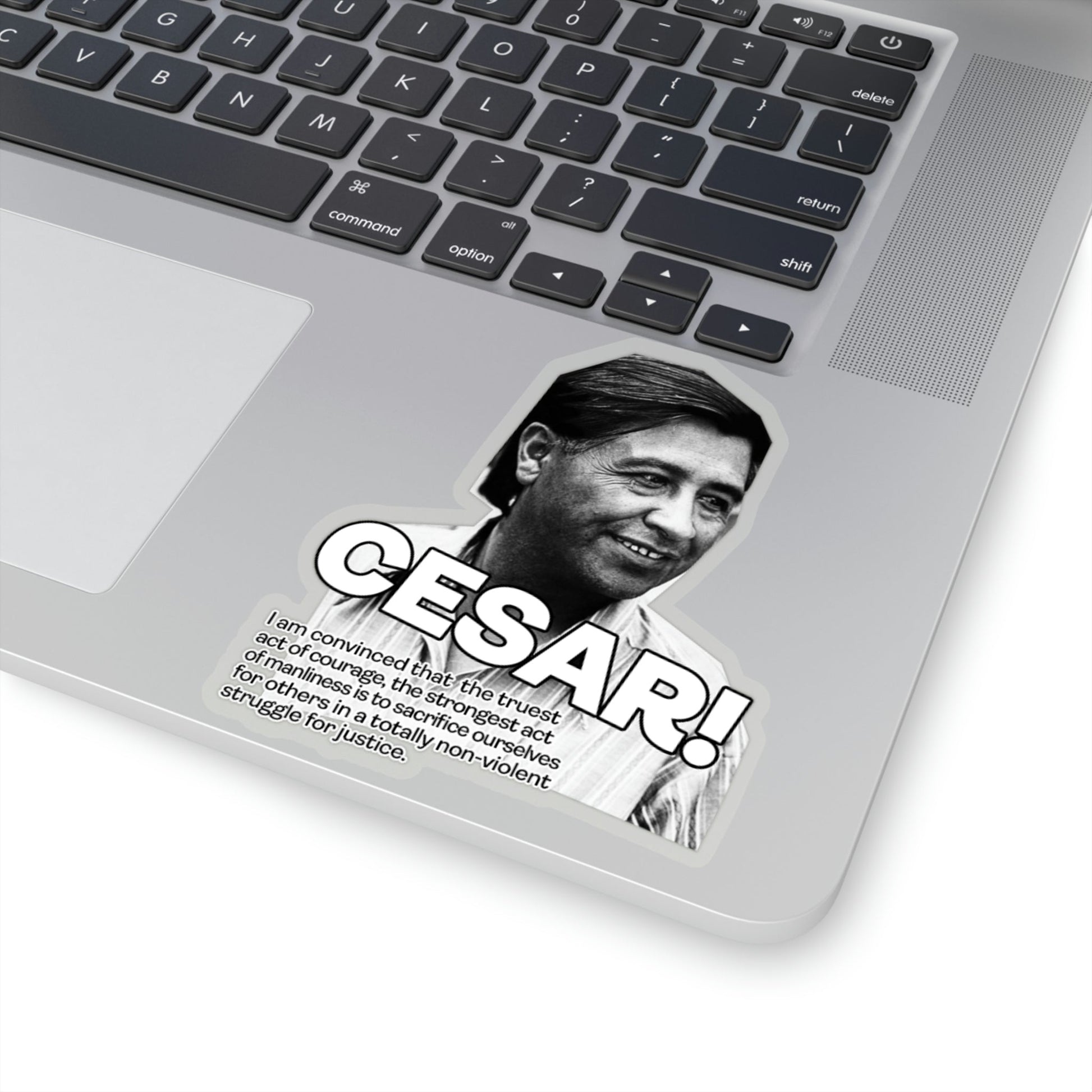 Cesar Chavez Kiss-Cut Sticker Union Hero Patriot Martin Luther King Gloria Steinem